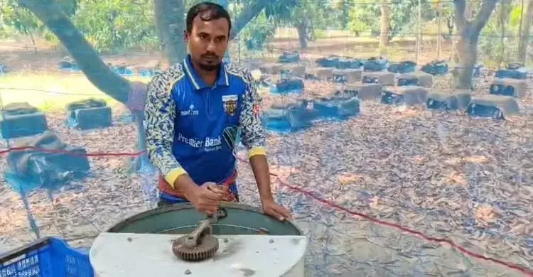 মৌচাষে ভাগ্য বদলের স্বপ্ন দেখছেন মাগুরার যুবক