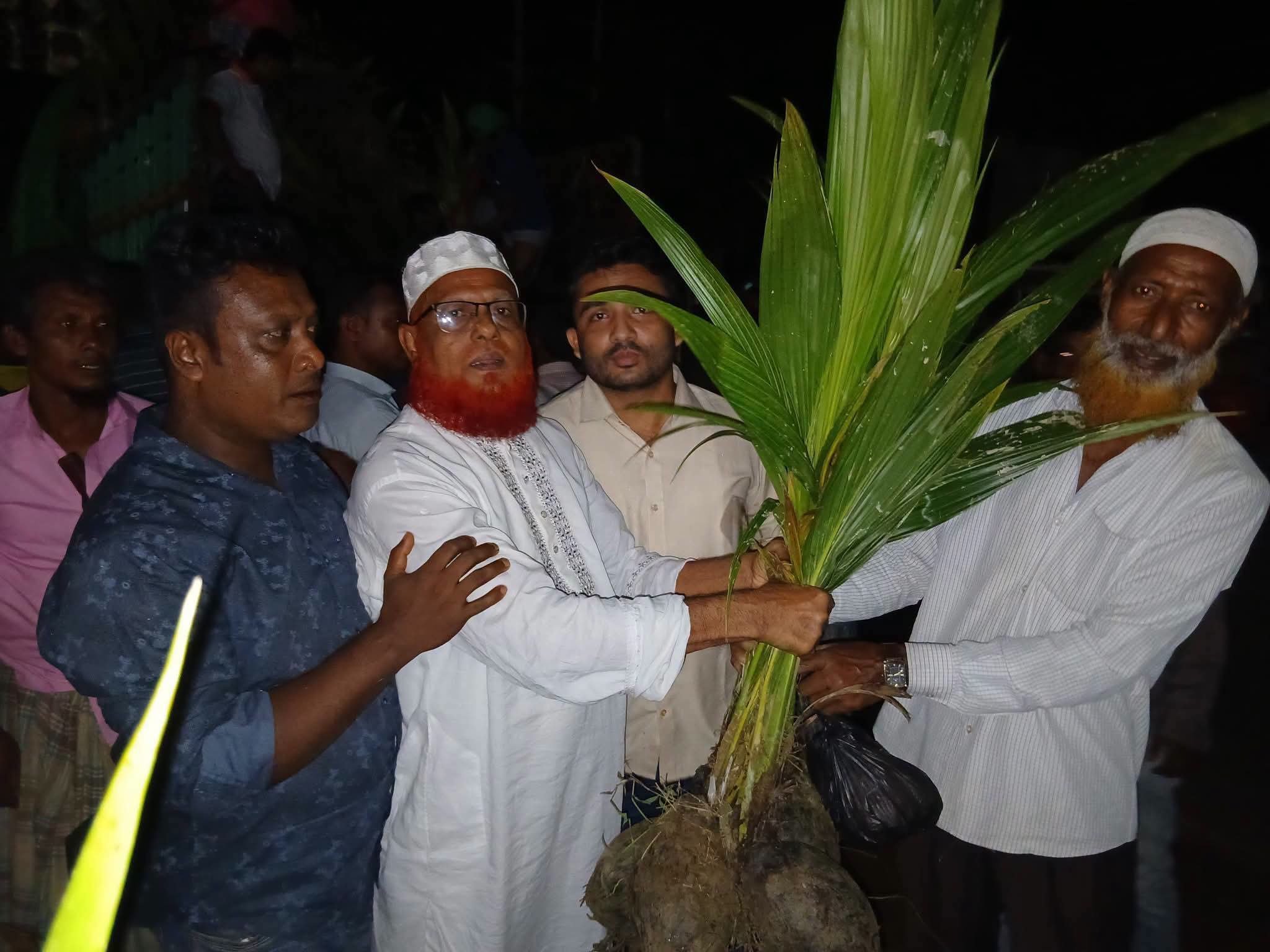প্রধানমন্ত্রী তারেক রহমানের ২৫ কোটি বৃক্ষরোপণ কর্মসূচির অংশ হিসেবে ঈদগাঁওয়ে নারিকেল চারা বিতরণ